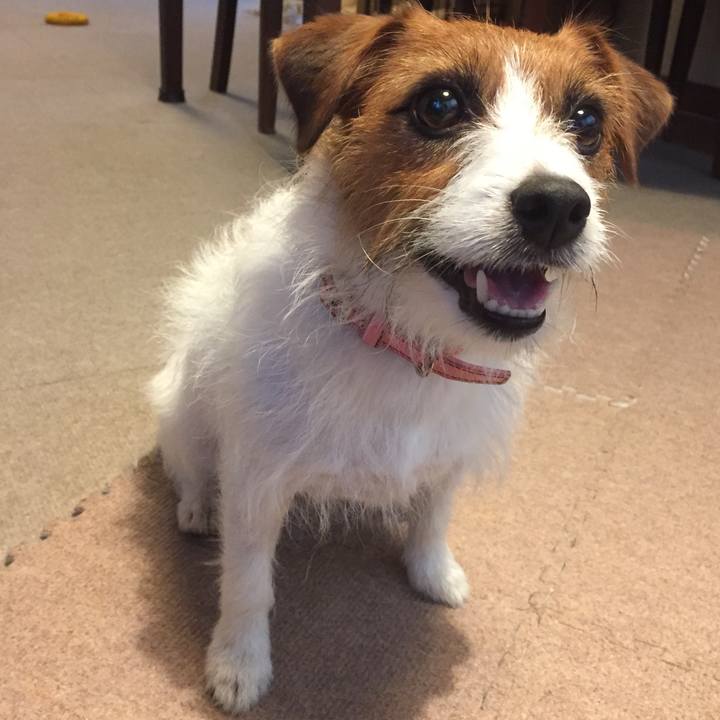 5174f028 5c7a 4fa8 a704 d41e440e93a2