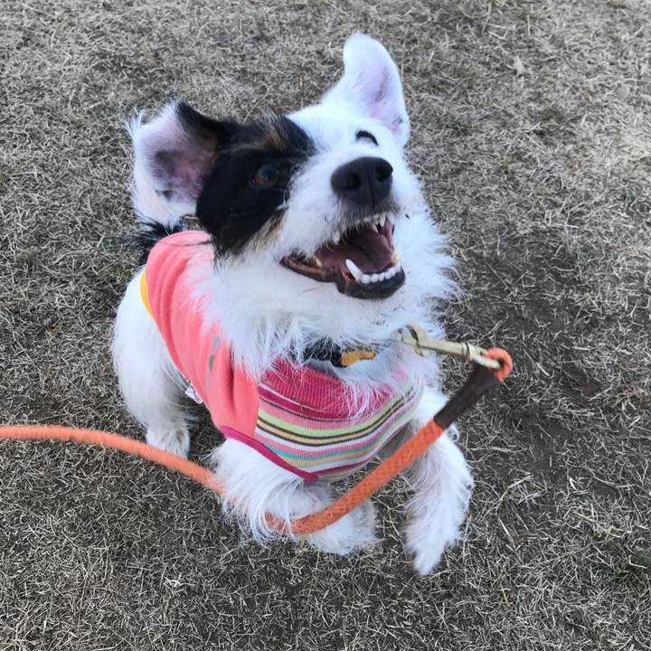 517504b1 23f2 48ac 8efb b2a02308d054