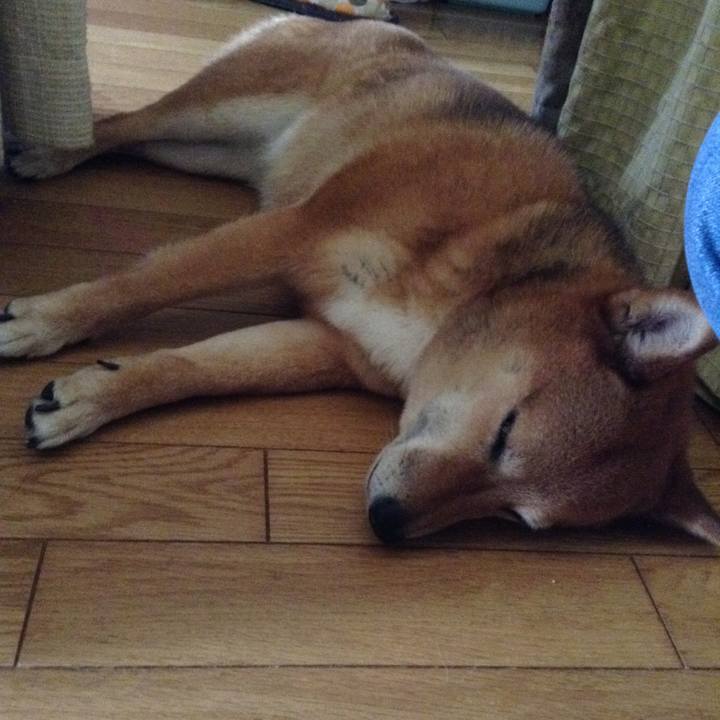 51754010 6a9d 46e6 b317 562026355d1d