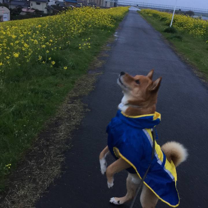 5175688d 54b5 497a a7a6 c0dd41ecfb57