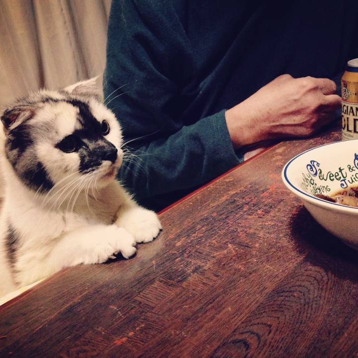 5175d7c3 726c 4692 a265 ed3d3e6150c4