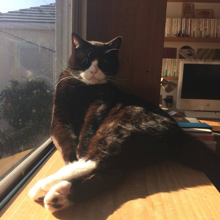 5175dbbc 395f 487f b786 a1f3fde46cae