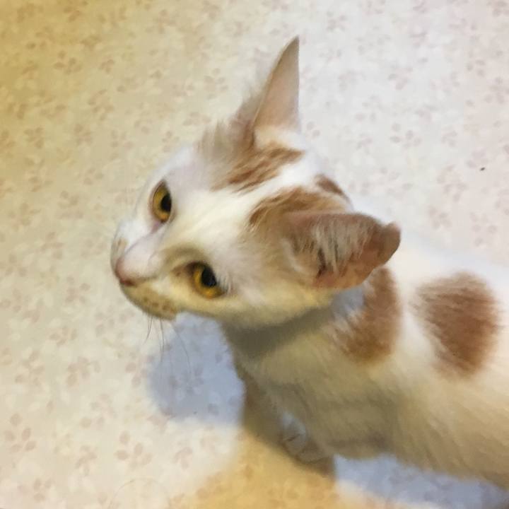 5175f1b7 4221 4e5f 8138 5379288da9f1