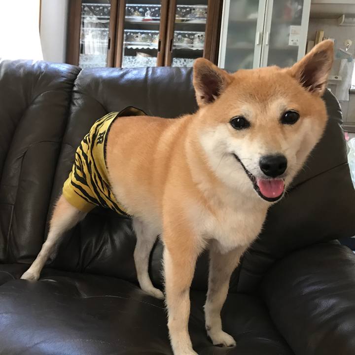 517694b8 b783 4462 a344 fd7a582accbd