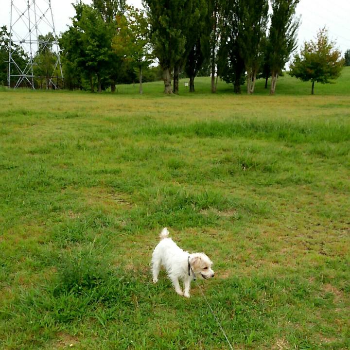 5176c399 0182 44b8 bd27 2974ff5c7c34