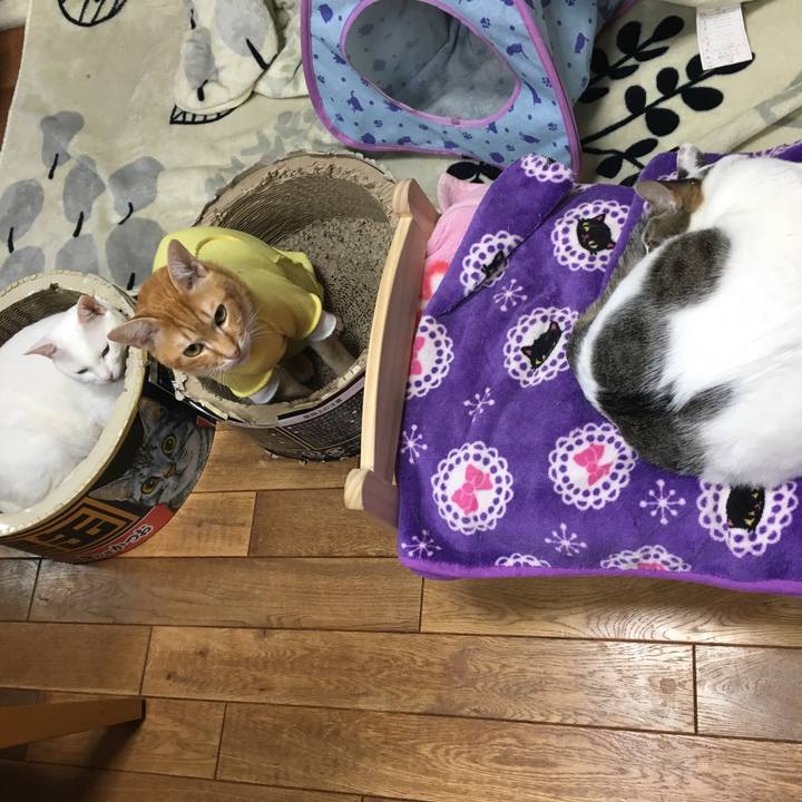 5176d281 2efa 4db7 9f9d 6f124c122e1c