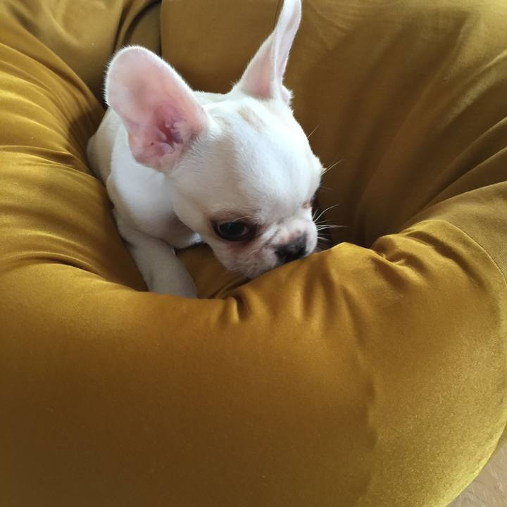 51775b3b 8843 4258 a5b7 fb8cbe779322