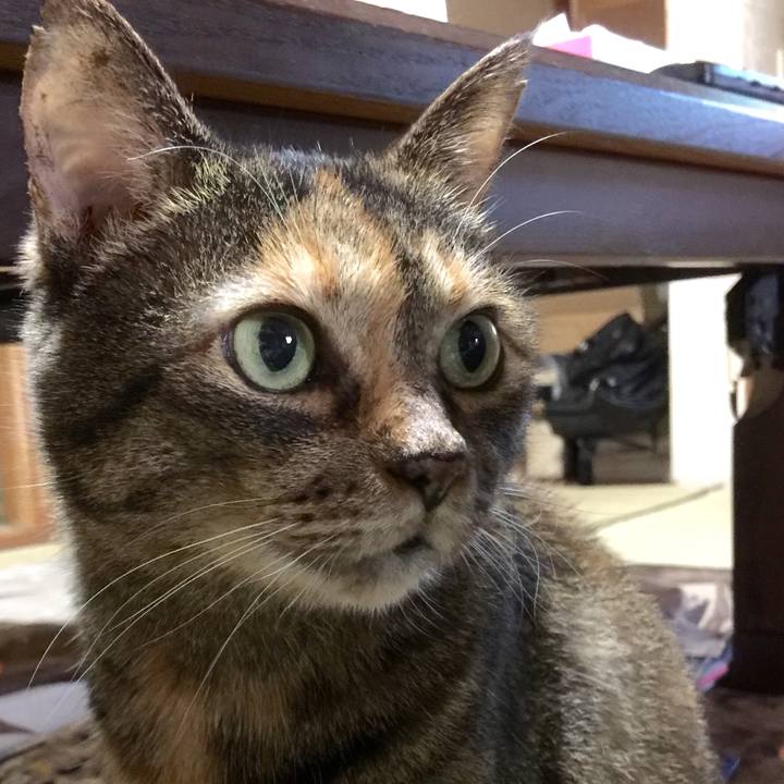 5177aa48 fd9e 4269 b132 c3f62044c22b