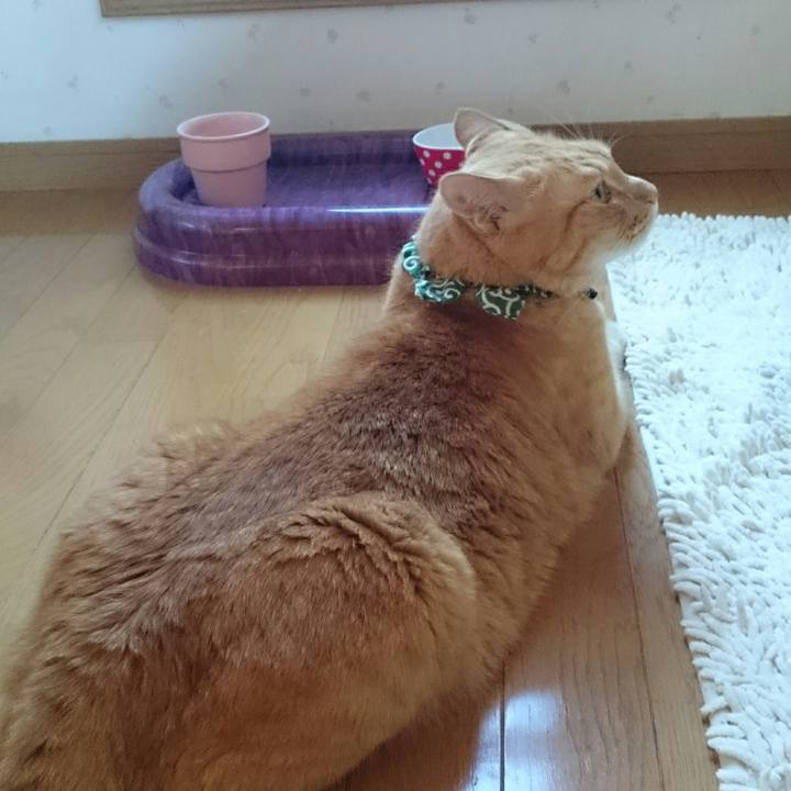 51780554 a74a 41b1 9186 48684af429e5