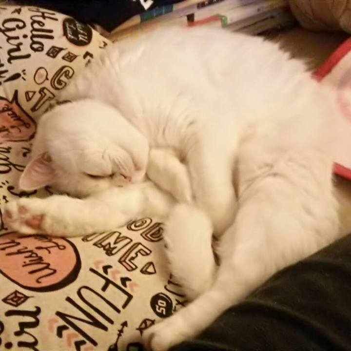 5178293f eeb0 40d1 944d 159b9c993eee