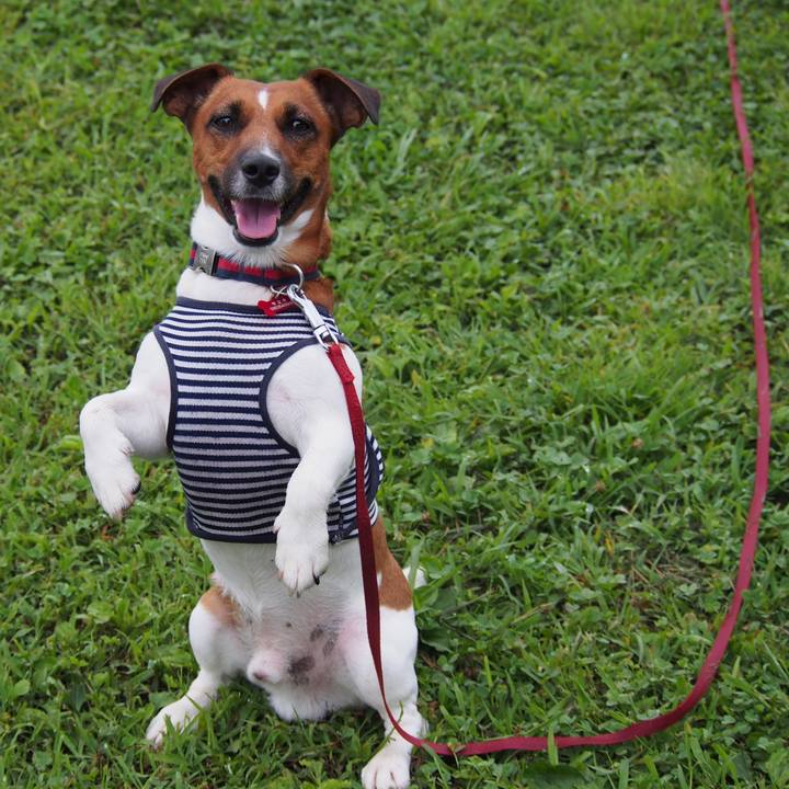 5178a74c 2722 4ec5 b459 74c0d4e32524