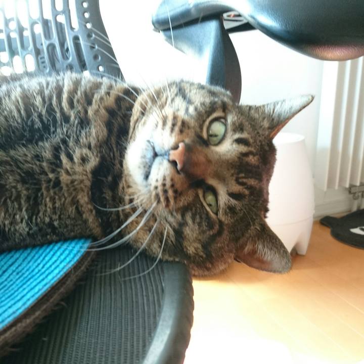 5178d29a 454b 4662 8ee9 21cc59958840