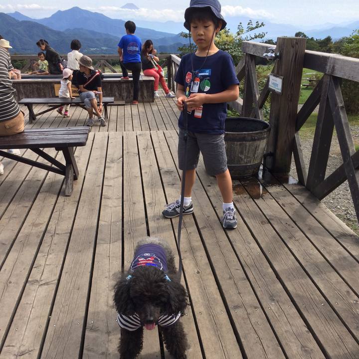 5178d8d3 51ac 48b4 b866 9c4faf7b3aa0