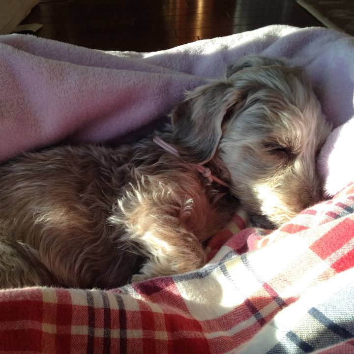 517911bd 8088 4396 8dc9 0f7fa4777ef1