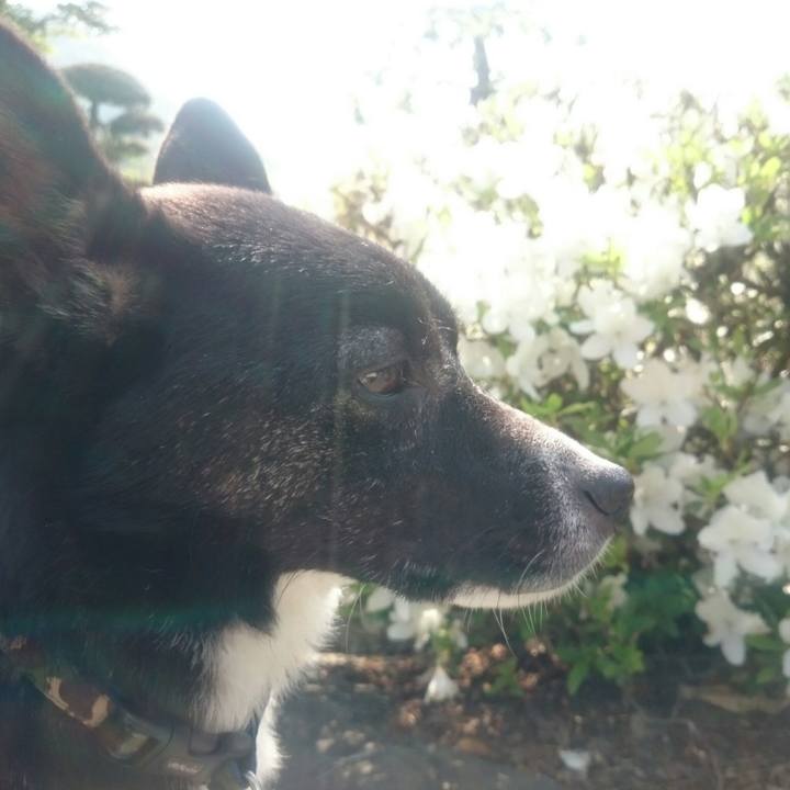 5179a569 77c0 4510 a7e7 2d03568b3d99