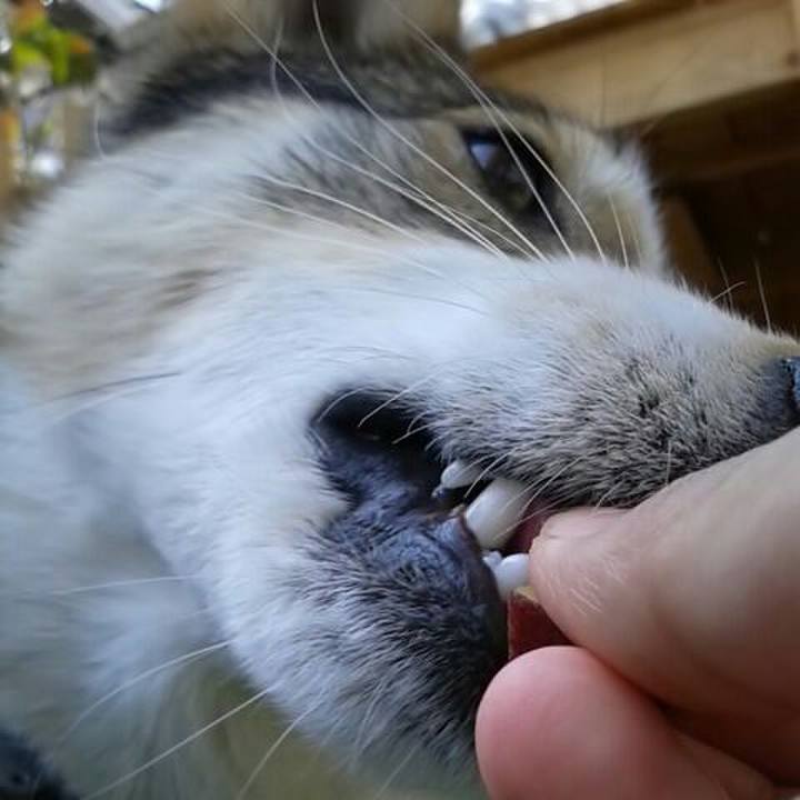 5179ec38 b757 468d bc8b 63eed046f785