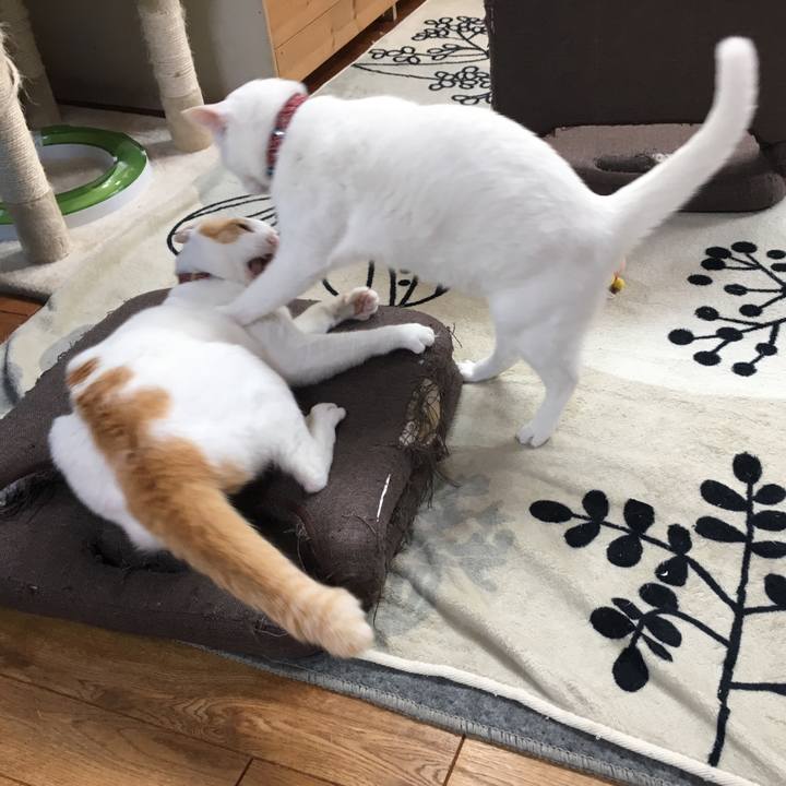 517a2aa6 38aa 46d7 b2b9 d89747edd3f7