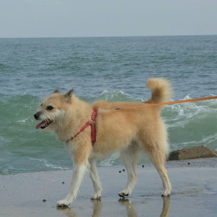 517a83ed ec5e 4d42 a536 fb3079487494