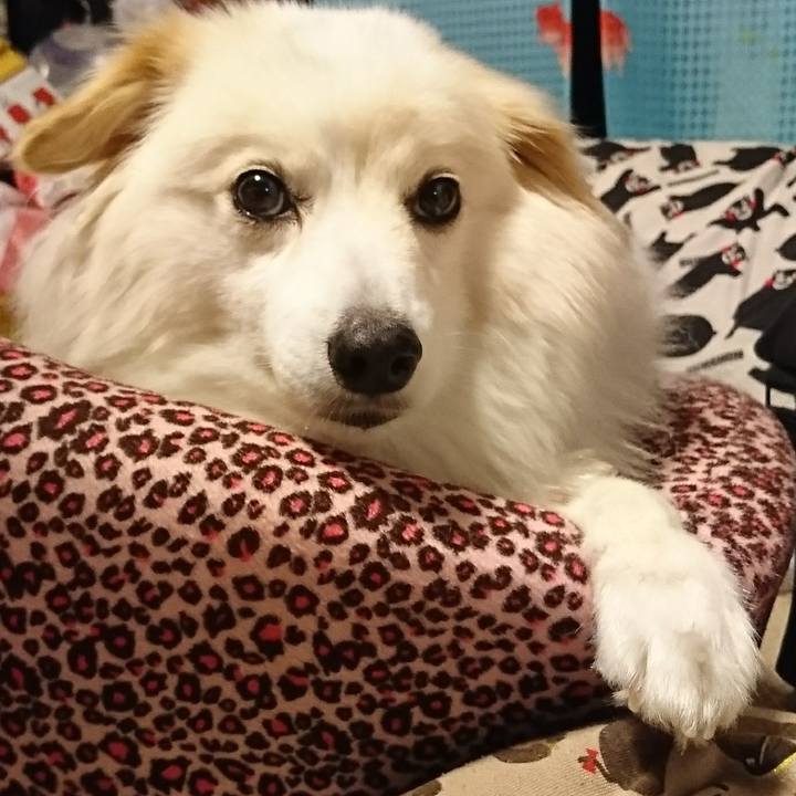 517aa046 4c8e 43ee 9650 98aa09c99679