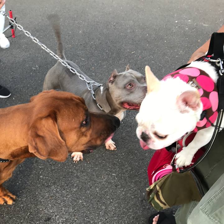 517aaafd 6f99 4fb6 a42f 8a3a7d10ee9c