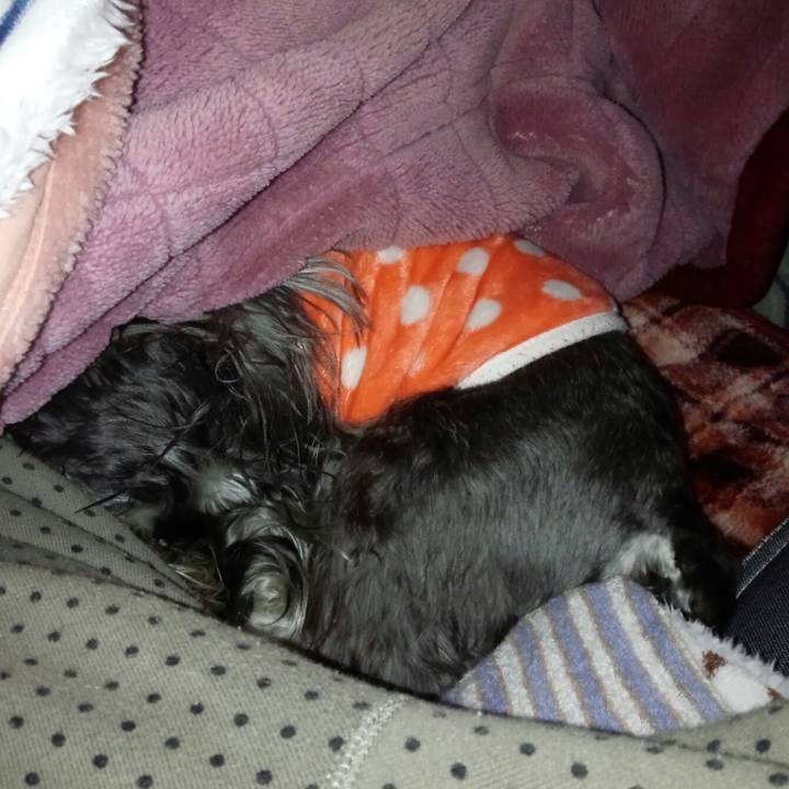 517b1b91 a14a 4acd b901 323369dc72c3