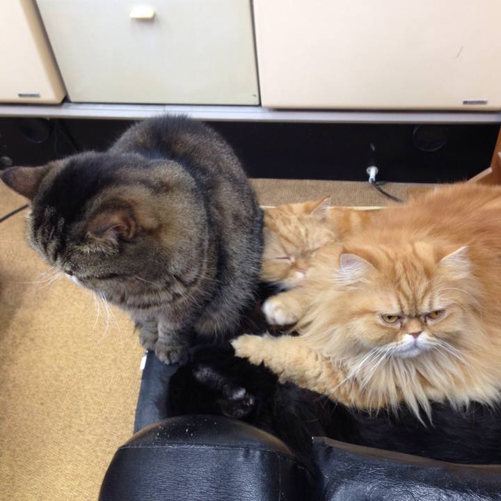 517bdaa0 bfbb 4c81 a026 d48611910c2b