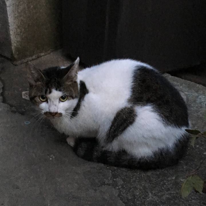 517c0298 6482 43ad b892 0fd0fc2ceaeb