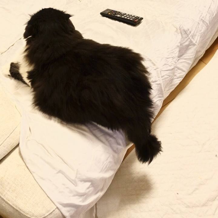 517d1f58 617a 4808 bf55 f281c9ee388c