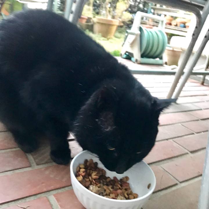 517de72a c33d 471d b66f 53422e3ebbfb