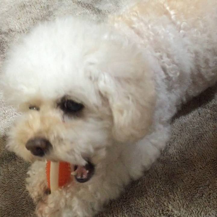 517e2d79 74fc 4d8e a1f6 4d9627cb9dd3