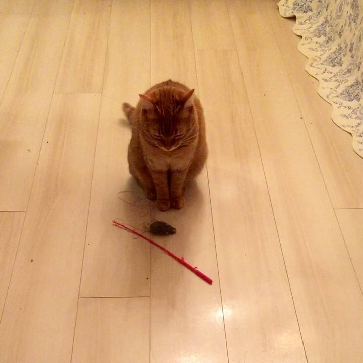 517e7ccb 5978 4686 9b63 77cd9cf89243