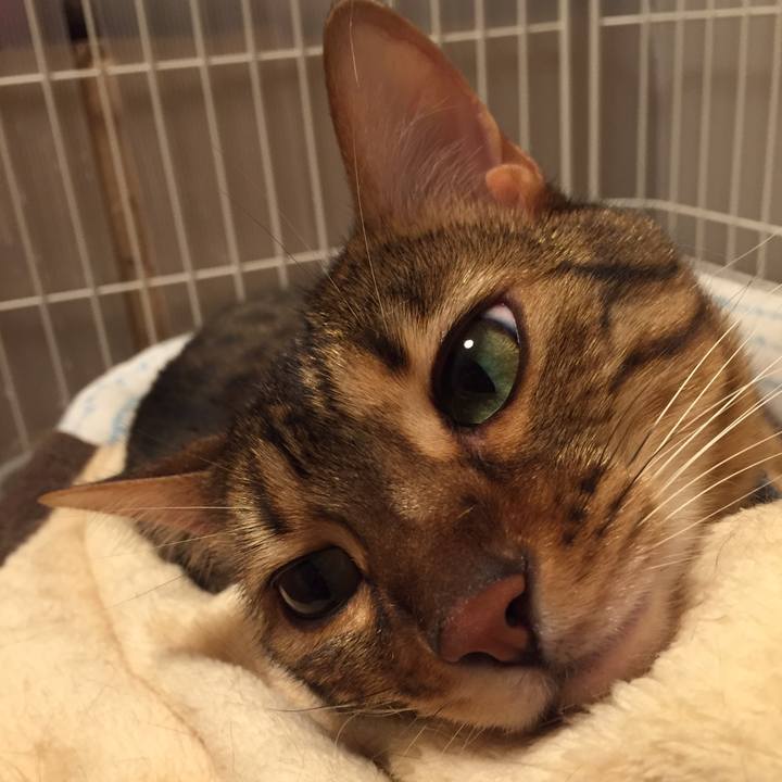 517e7f77 ffc8 45cd 845f b8dbe536ae50