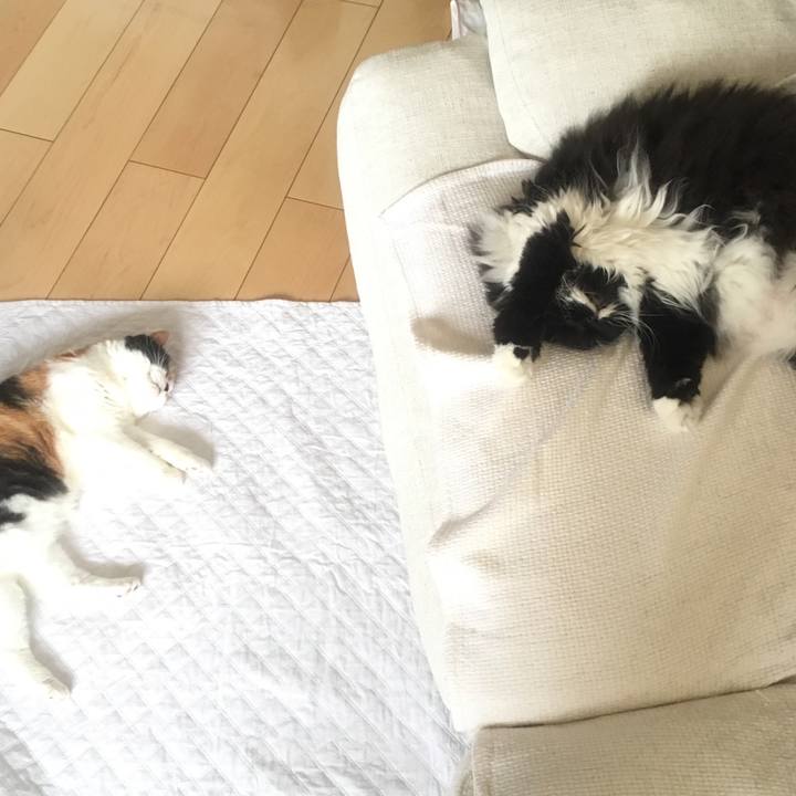 517e8b96 68b1 496f 9a8c e2c703172bd6