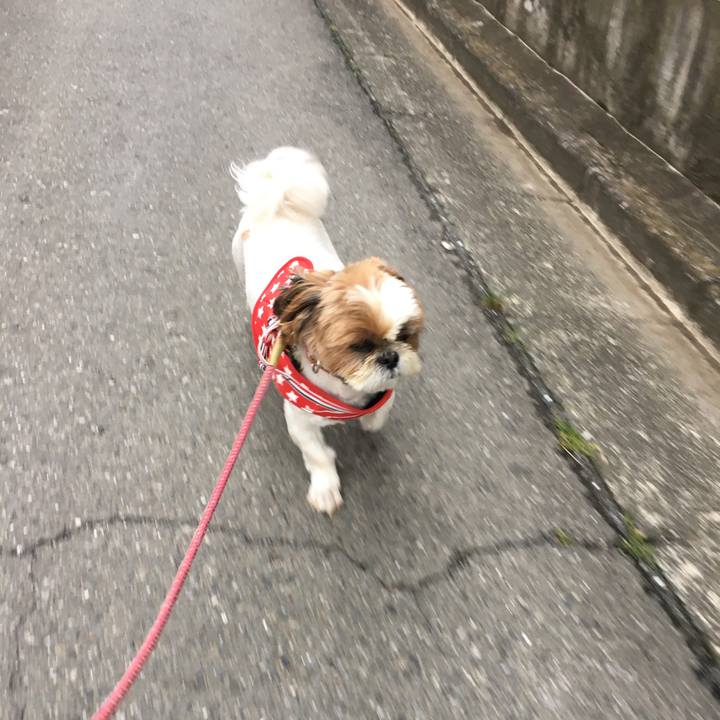 517eddf3 85a8 4a28 a6dd d44655cc7d51