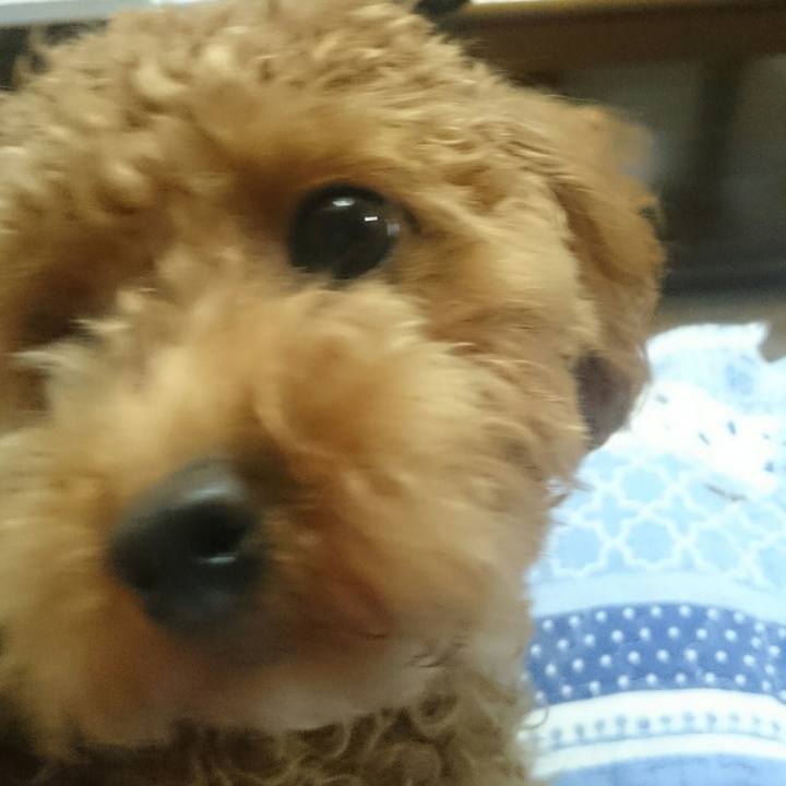 517efbef ba41 4cb8 bfad bf1bf3f99e80