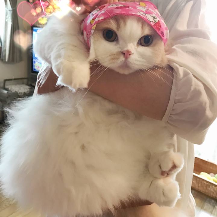 517f657d 4094 48e2 b52f bb051c80d633