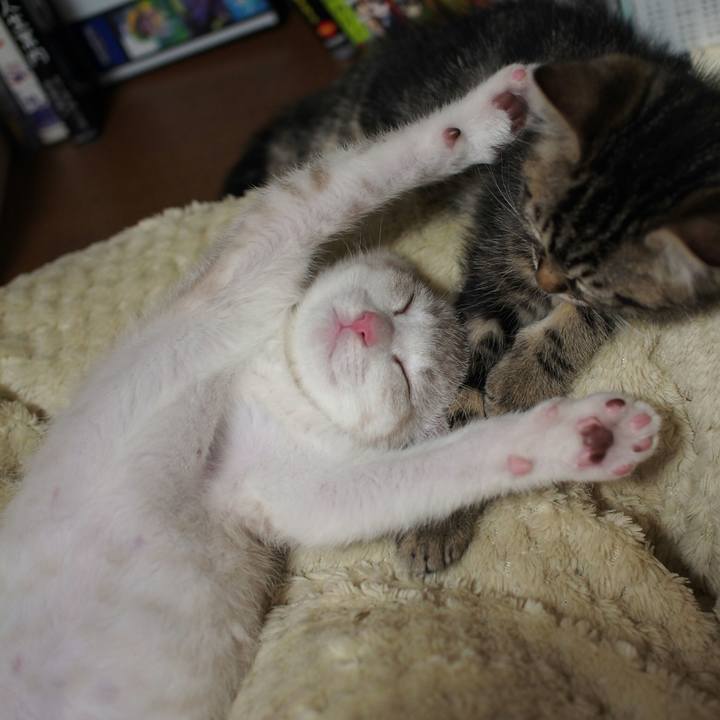 517f7b25 f46b 4a21 90c6 8c0e9afc694e