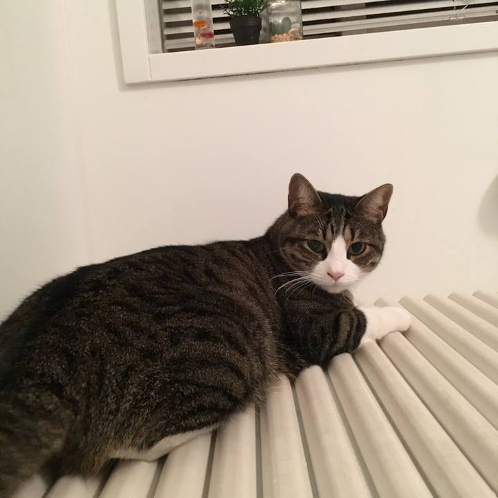 517f842a d20d 4186 848d 156b1314d1f8