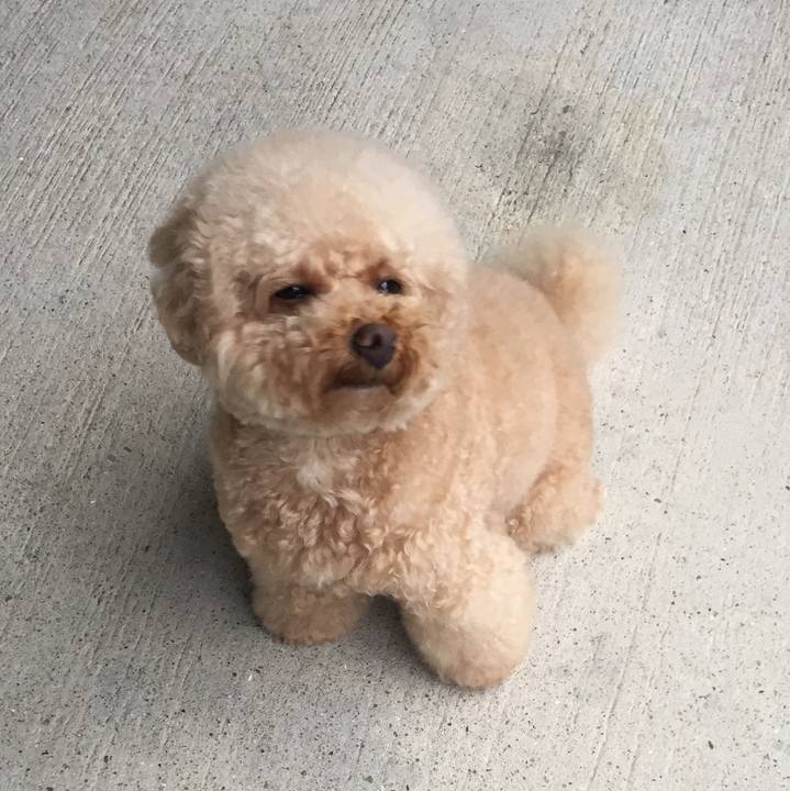 517fef72 a73f 499c 8f6c 9fc3fe31e198