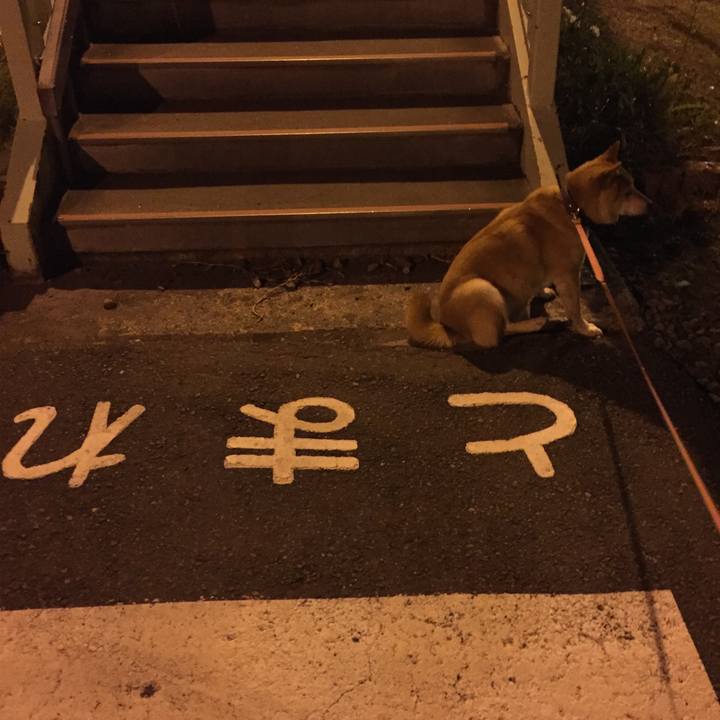 518020ad f841 49ca aa0b c5543a3a9190