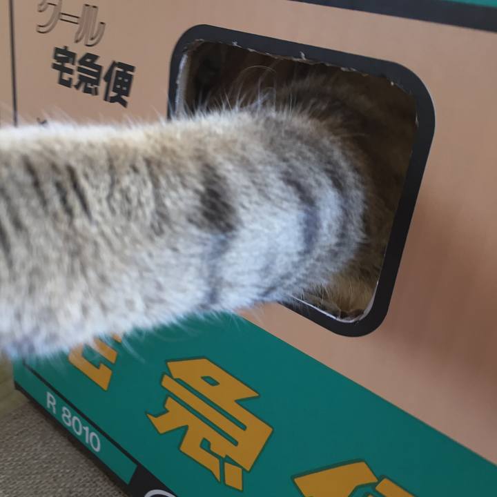 5180ad56 ff89 4a29 a8c9 35f3a1b04b41