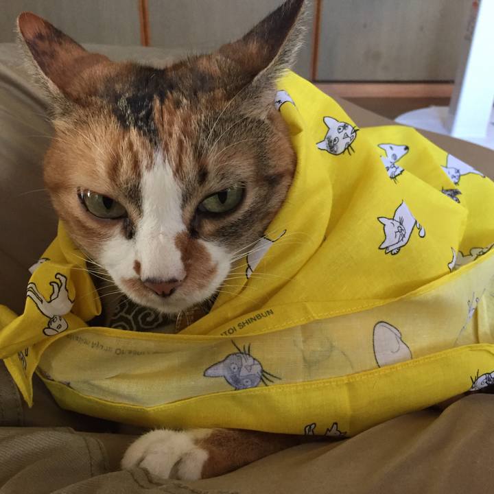 518180a8 3258 47f8 968a 2d8558245e64