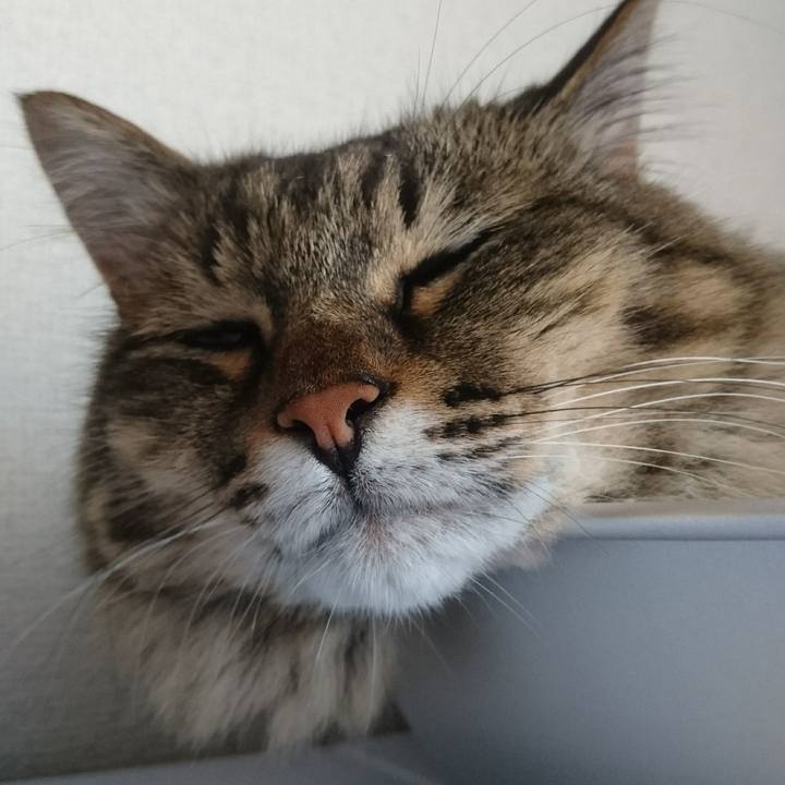 5183313b 4a52 4985 83cf 6a13789b3bdc