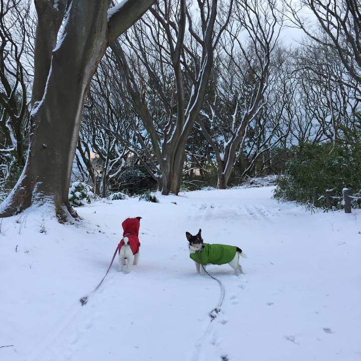 518337c3 af09 482f 9ab9 f604d33aece8