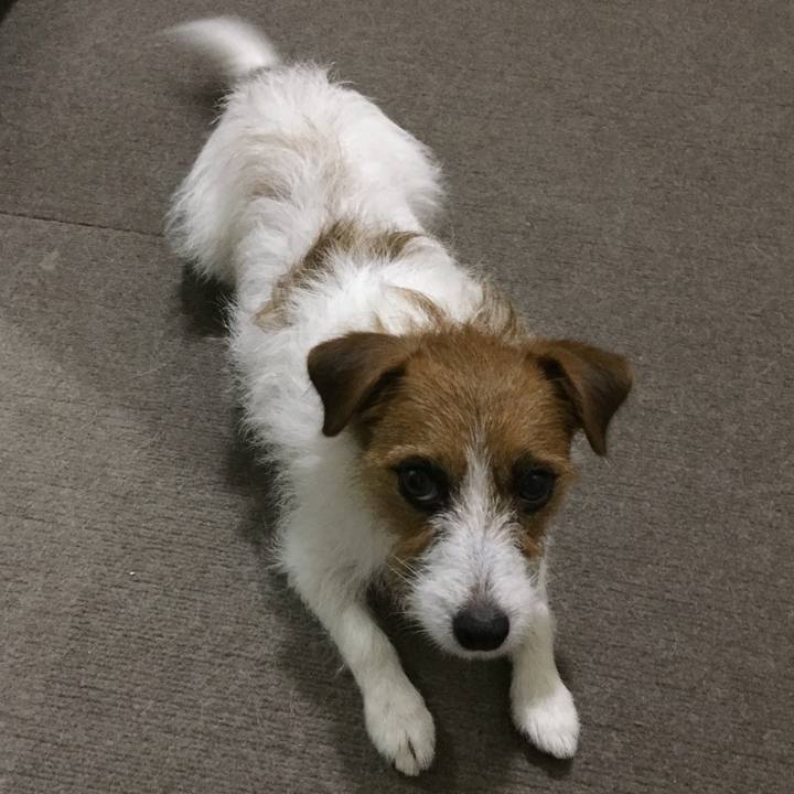 518372a6 cf9d 4b89 a12d 37d3e60a0964