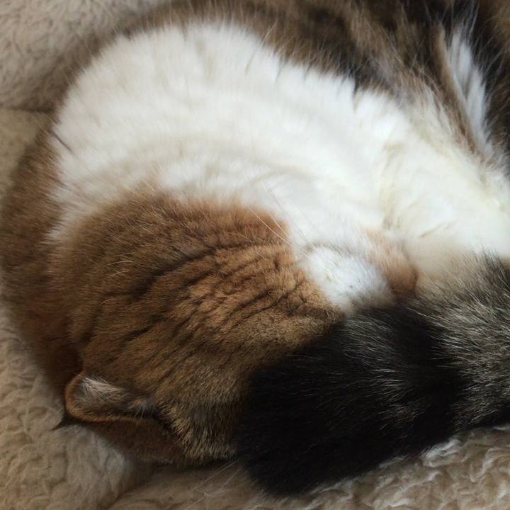 518471d0 ea38 4a78 b7a0 0b5531114ff2