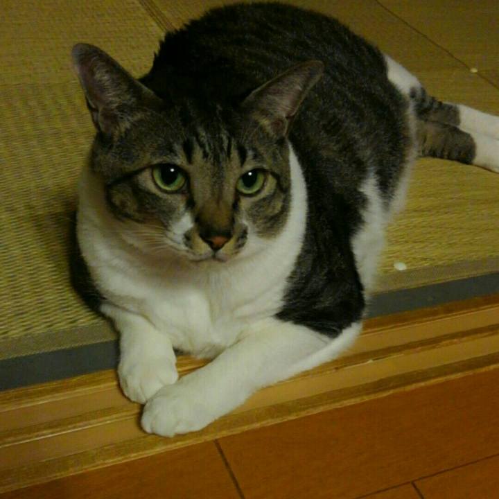 5184d618 8c6c 4e3d b2e1 c349f50ee003