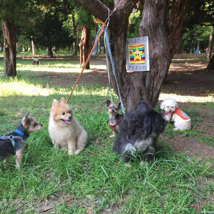 5185657b 4594 462c 9b6a 226726c145e2