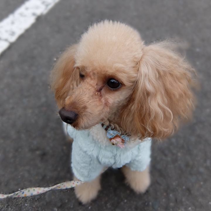 5185b46f 72a1 4333 bfc3 a4c4b9324d5d