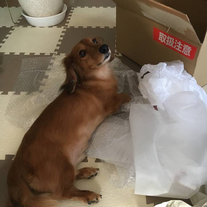 5185b571 ef87 430e a5c6 f6f294e3d159